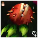 アカパクパク