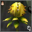 キパクパク