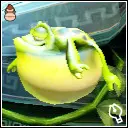 フログーン