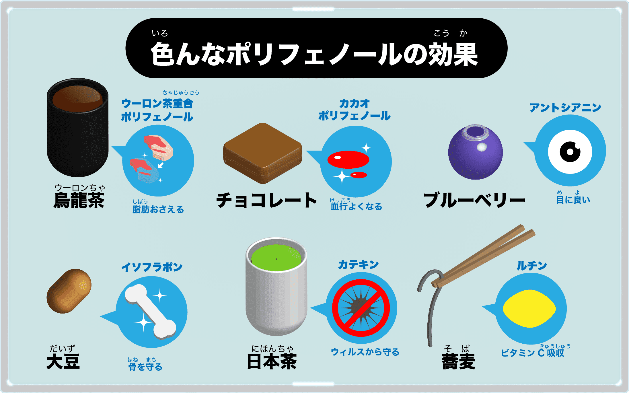 黒烏龍茶のポリフェノール