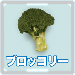 ブロッコリー