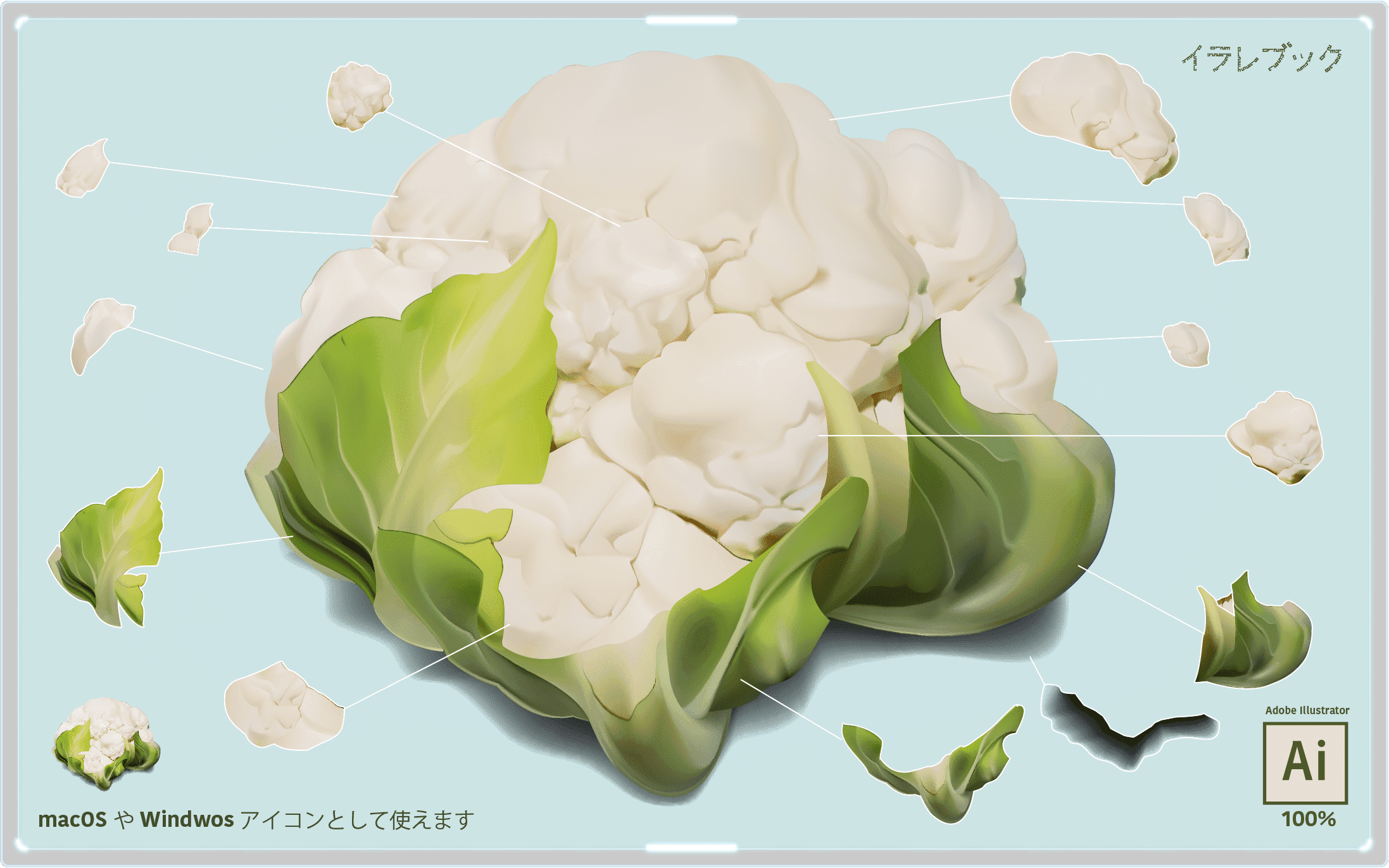 カリフラワー イラスト ブロッコリーの弟 栄養や食べ方 選び方 描き方