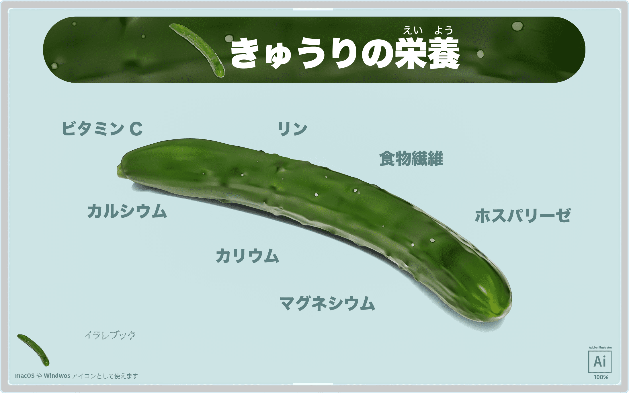 きゅうり イラスト オシャレ野菜代表 脂肪を分解させる栄養も Food