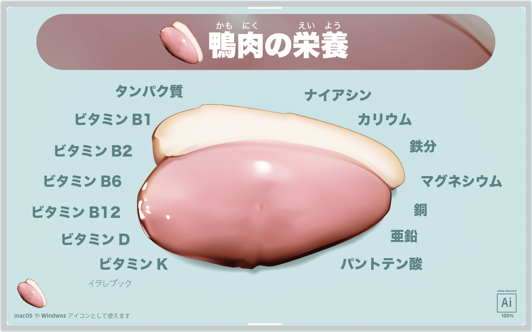 鴨肉の栄養