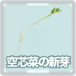 空芯菜の新芽アイコン