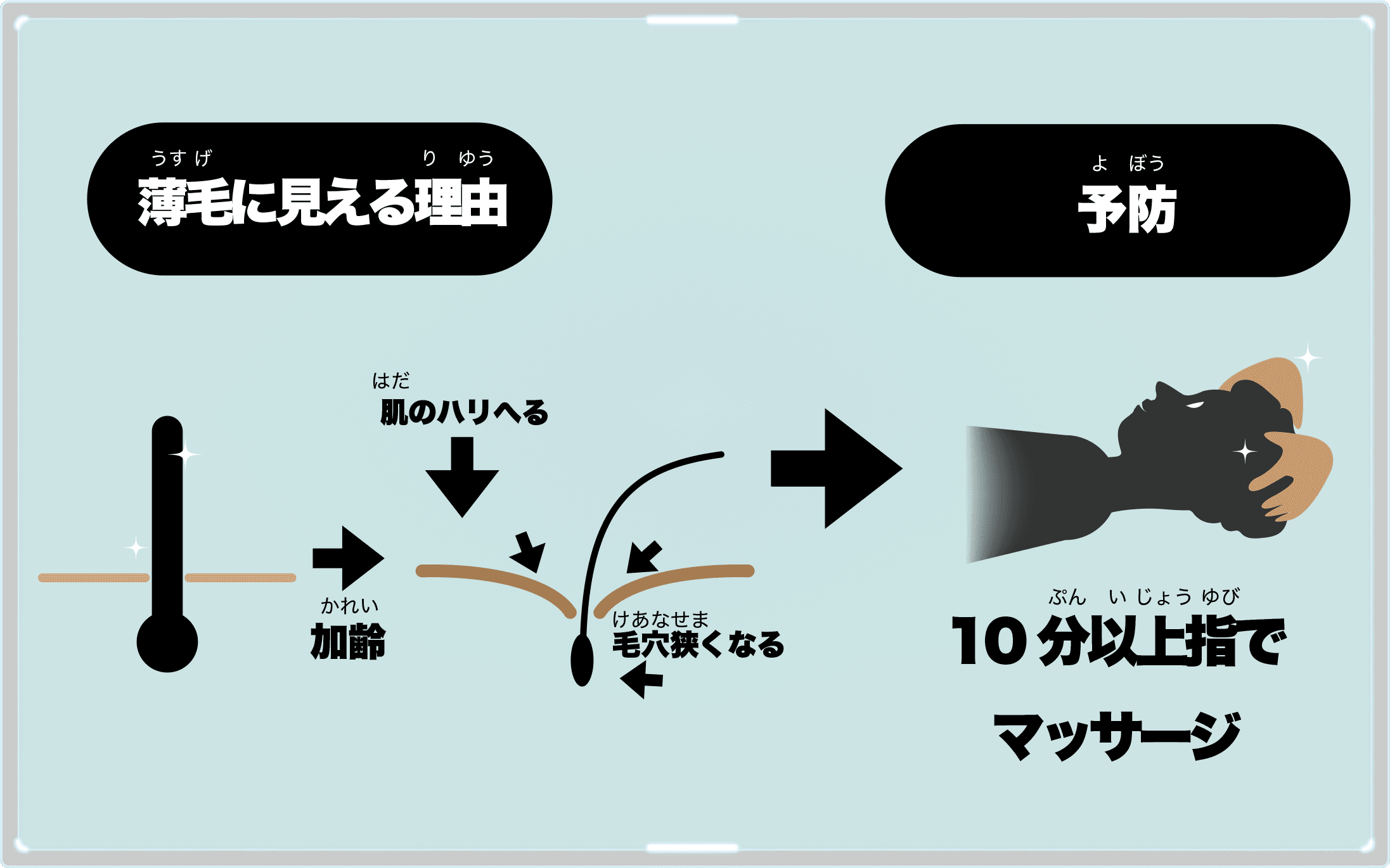 薄毛対策の図解