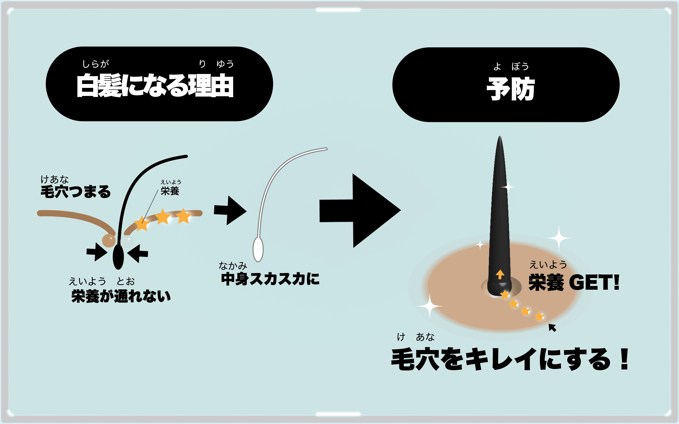 白髪対策の図解