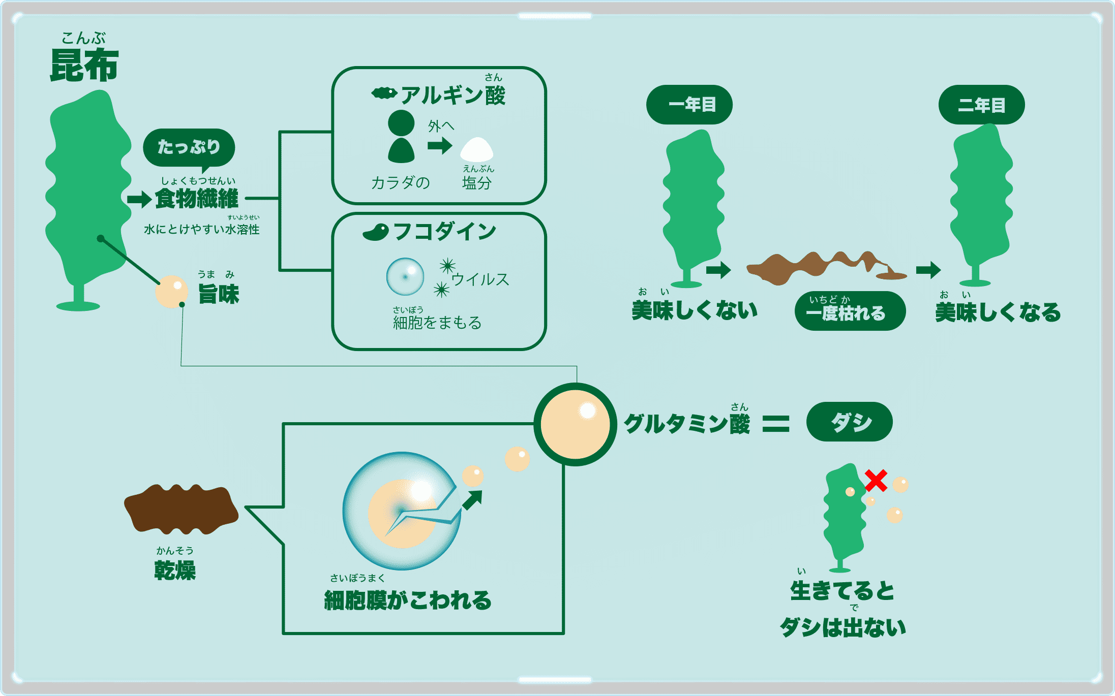 昆布 イラスト とろろ おぼろ 旨味 美味しい回復薬の食べ方 News