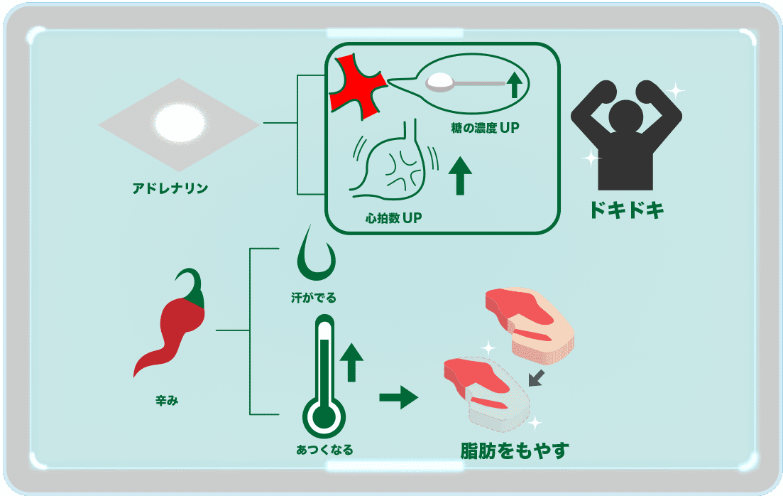 キムチ イラスト 食べる時や選び方の注意点 カプサイシン 栄養 韓国の世界五大健康食品 News