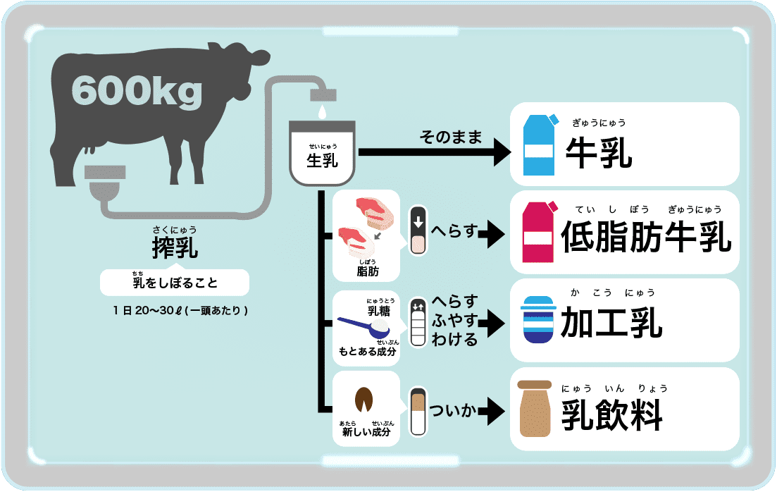 牛乳の種類