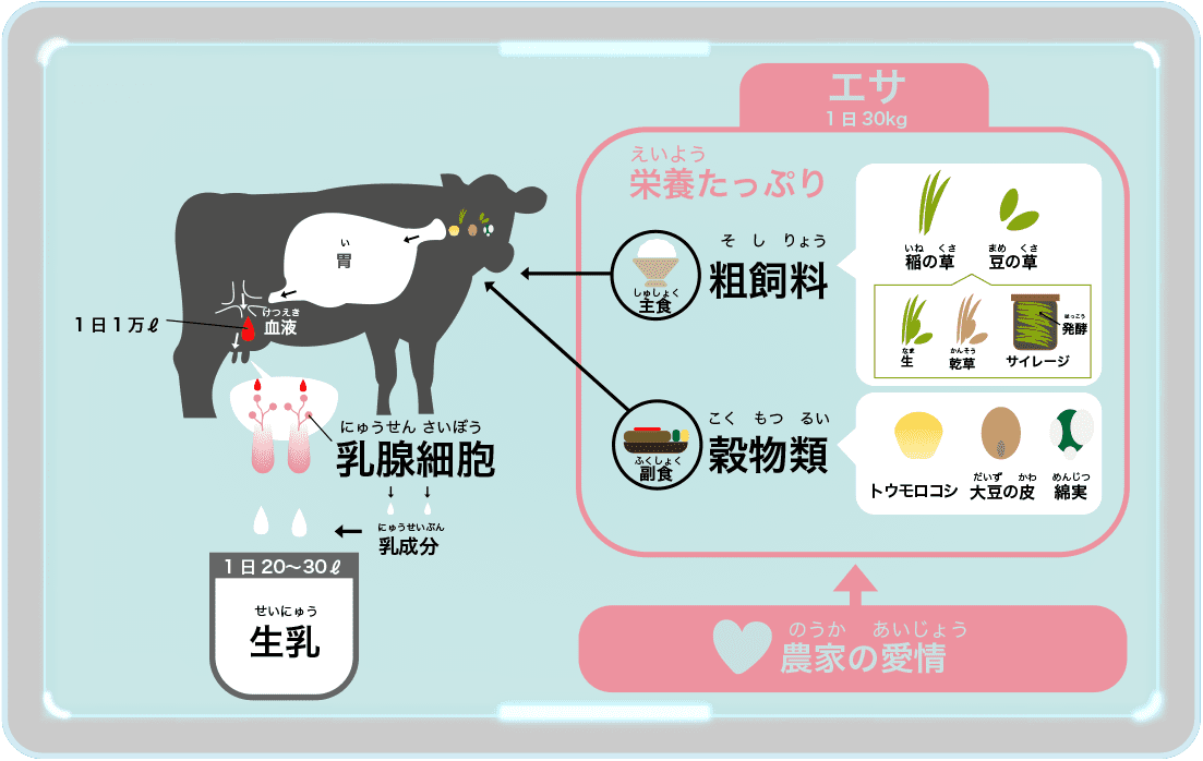 牛乳ができるまで