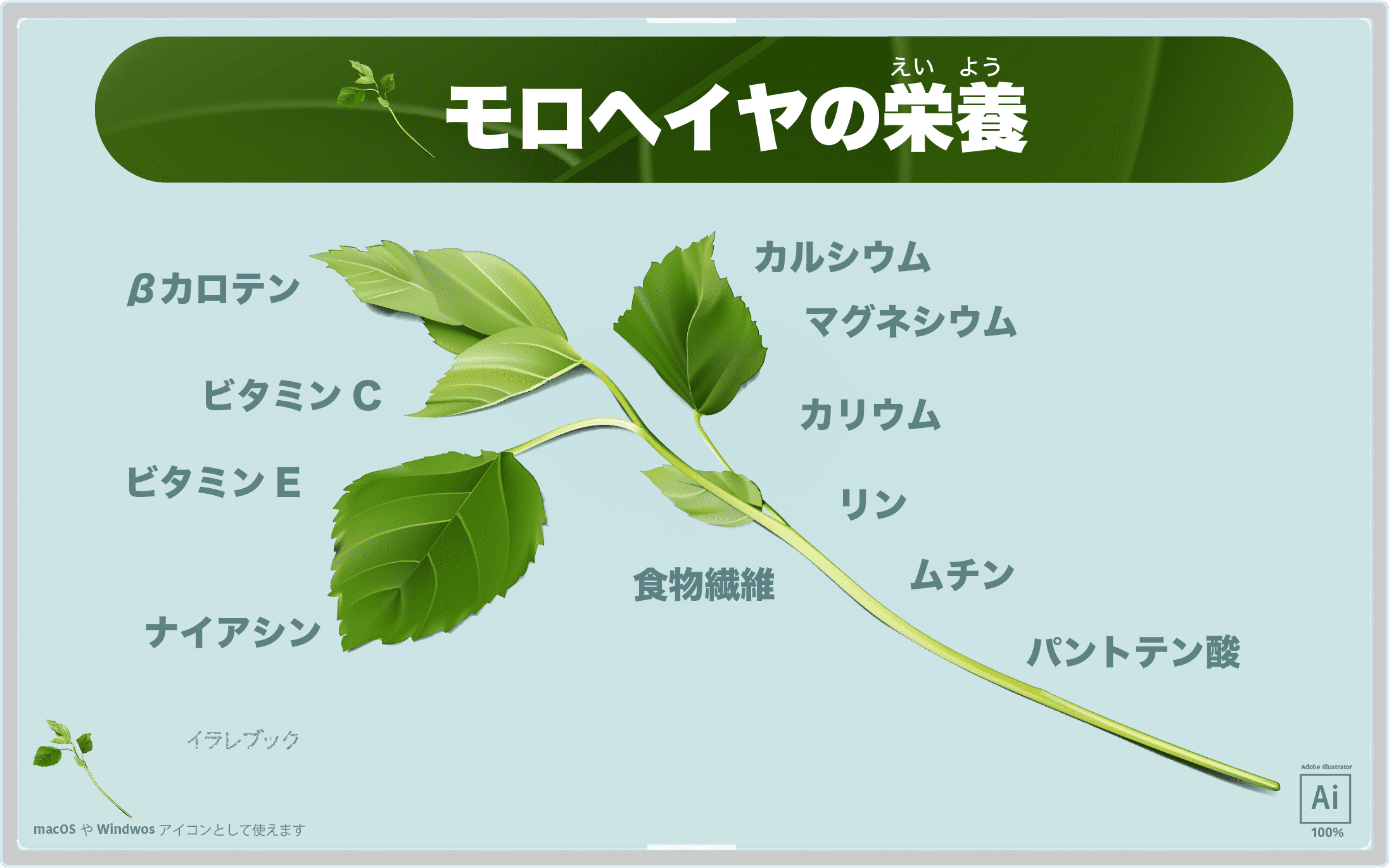 モロヘイヤ イラスト 専用包丁マハラタを生んだエジプトの至宝 エジプトから来た王の野菜 世界史 Food