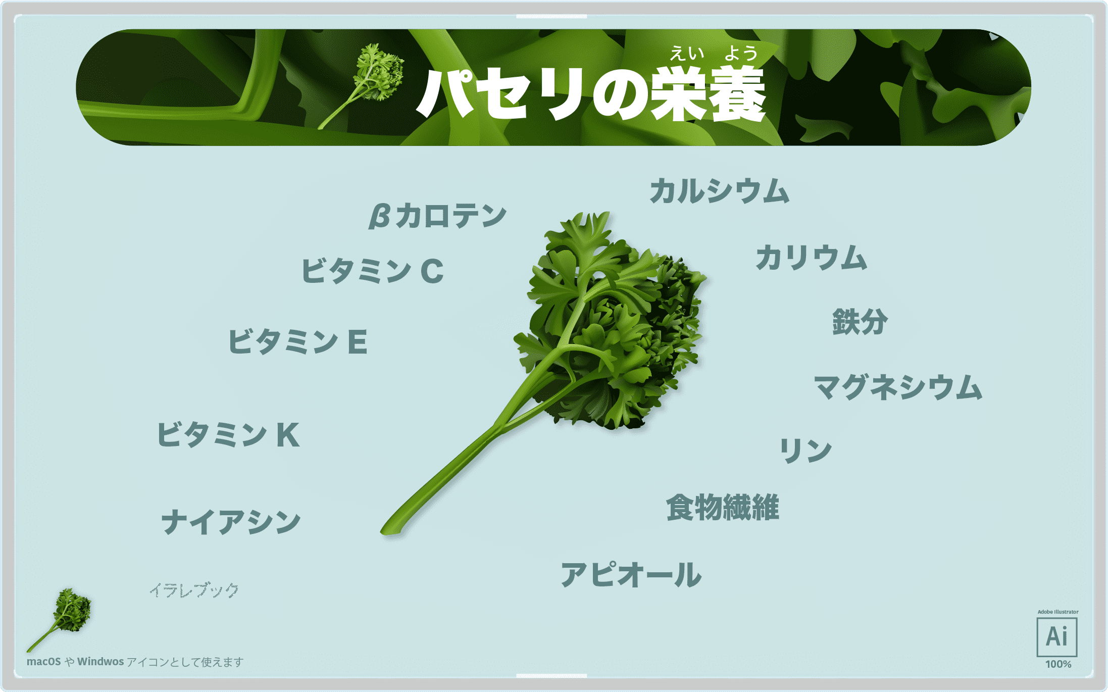 パセリ イラスト 栄養トップクラスな黒子野菜 影の立役者 Food