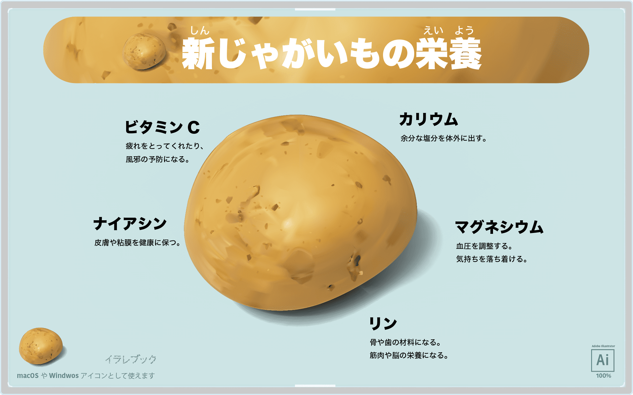 新じゃがいもイラスト 春の採れたてのフレッシュじゃがいもの特徴 選び方 食べ方 Food