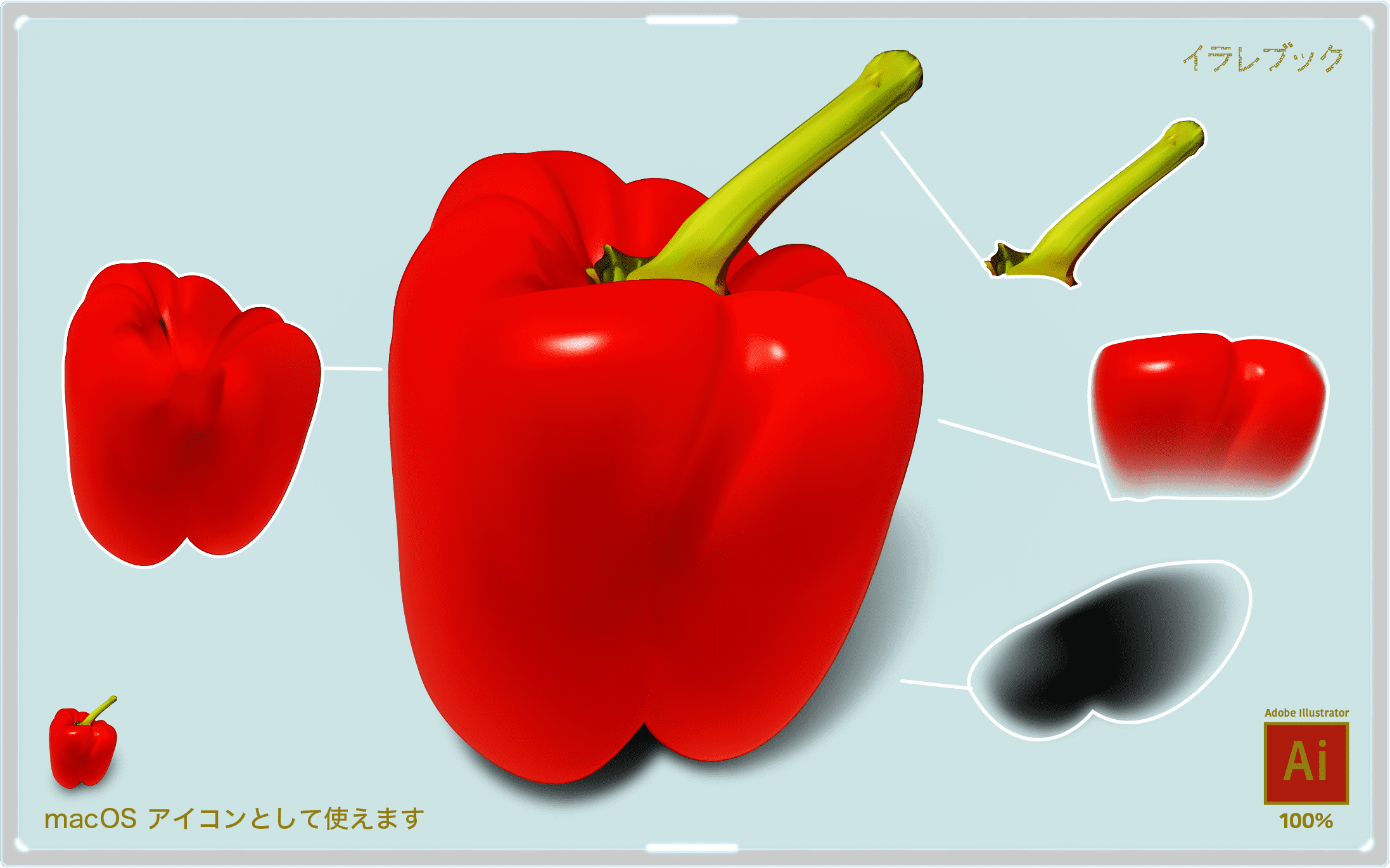 パプリカ 赤ピーマンのすごい栄養量とパプリカの花 歴史 唐辛子との関係をイラストでみる