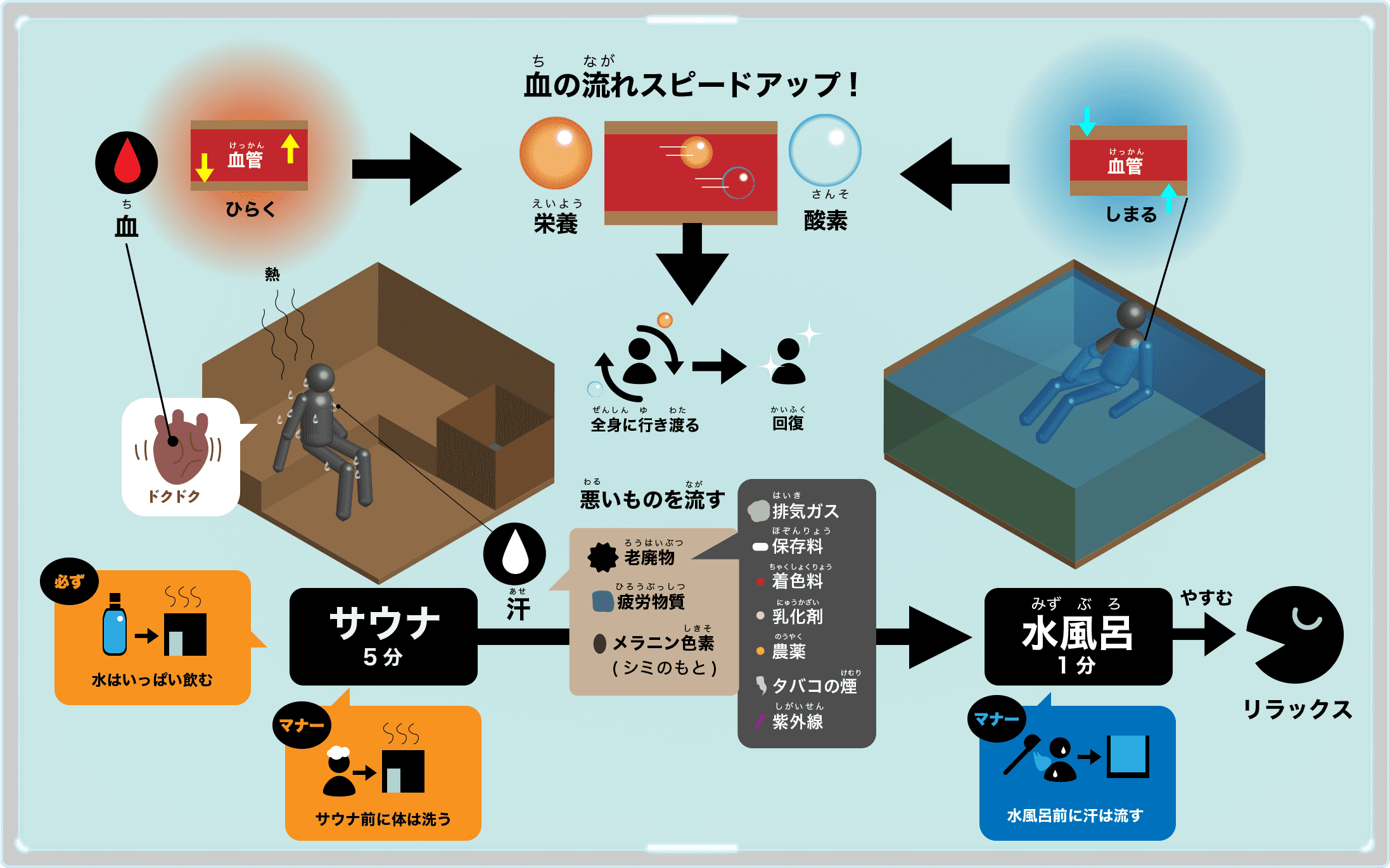 サウナの使い方と効果の図解