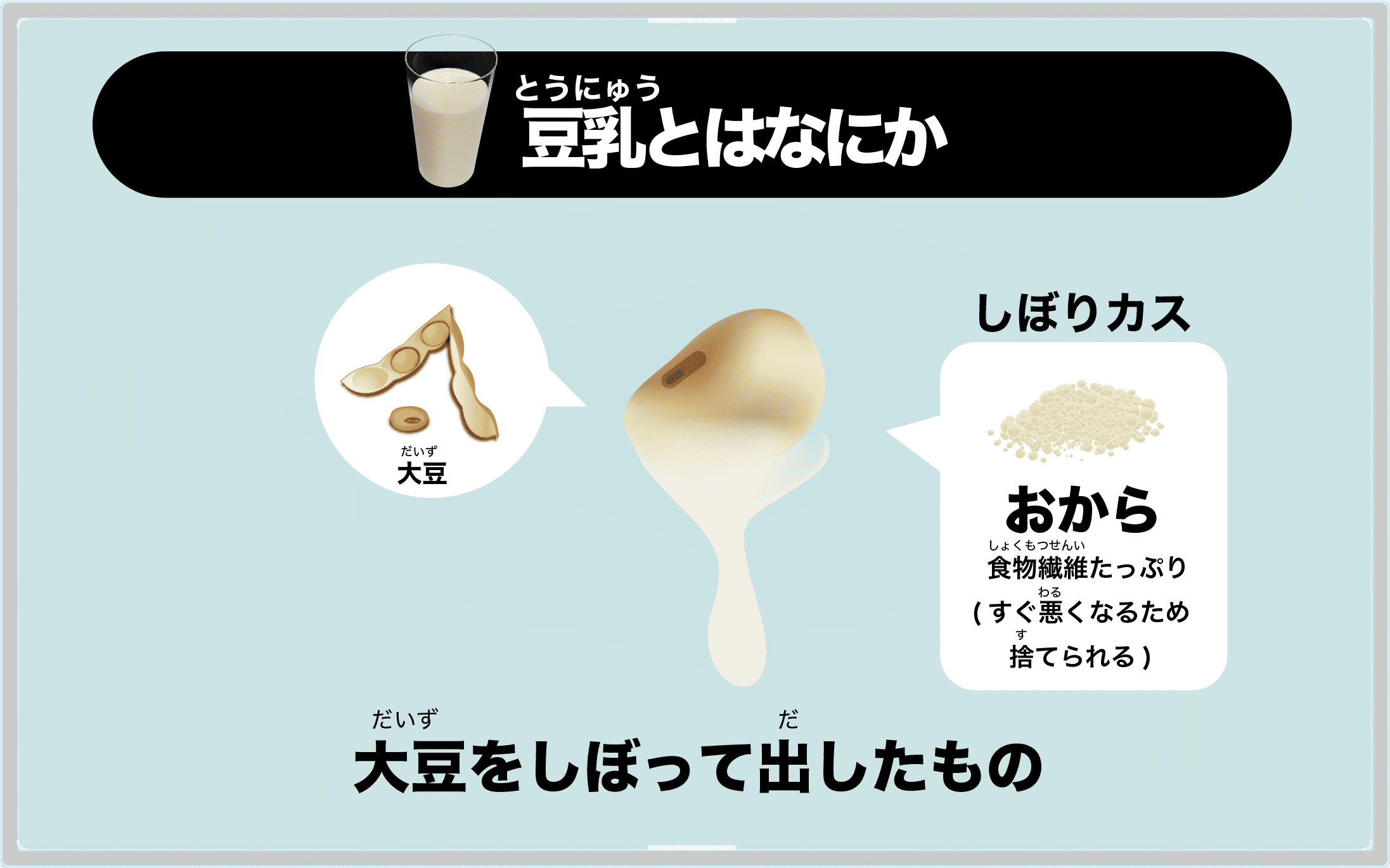 豆乳とは