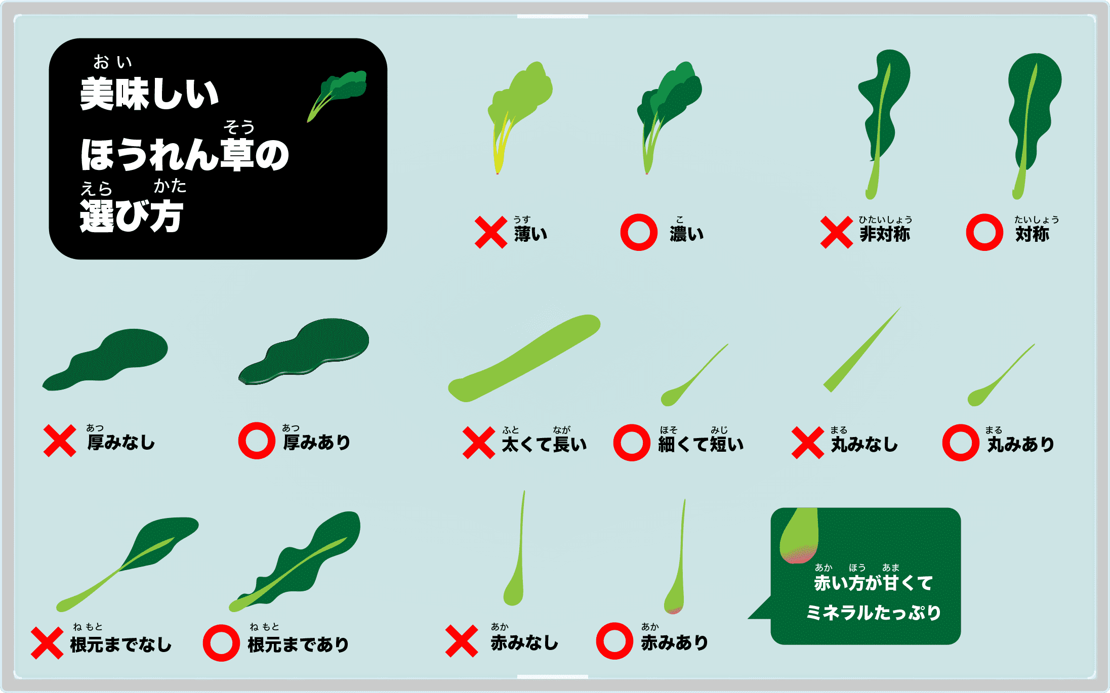 ほうれん草の選び方