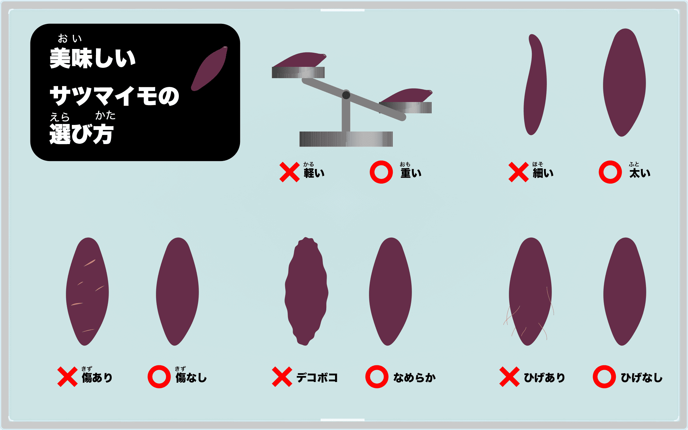 さつまいもの選び方