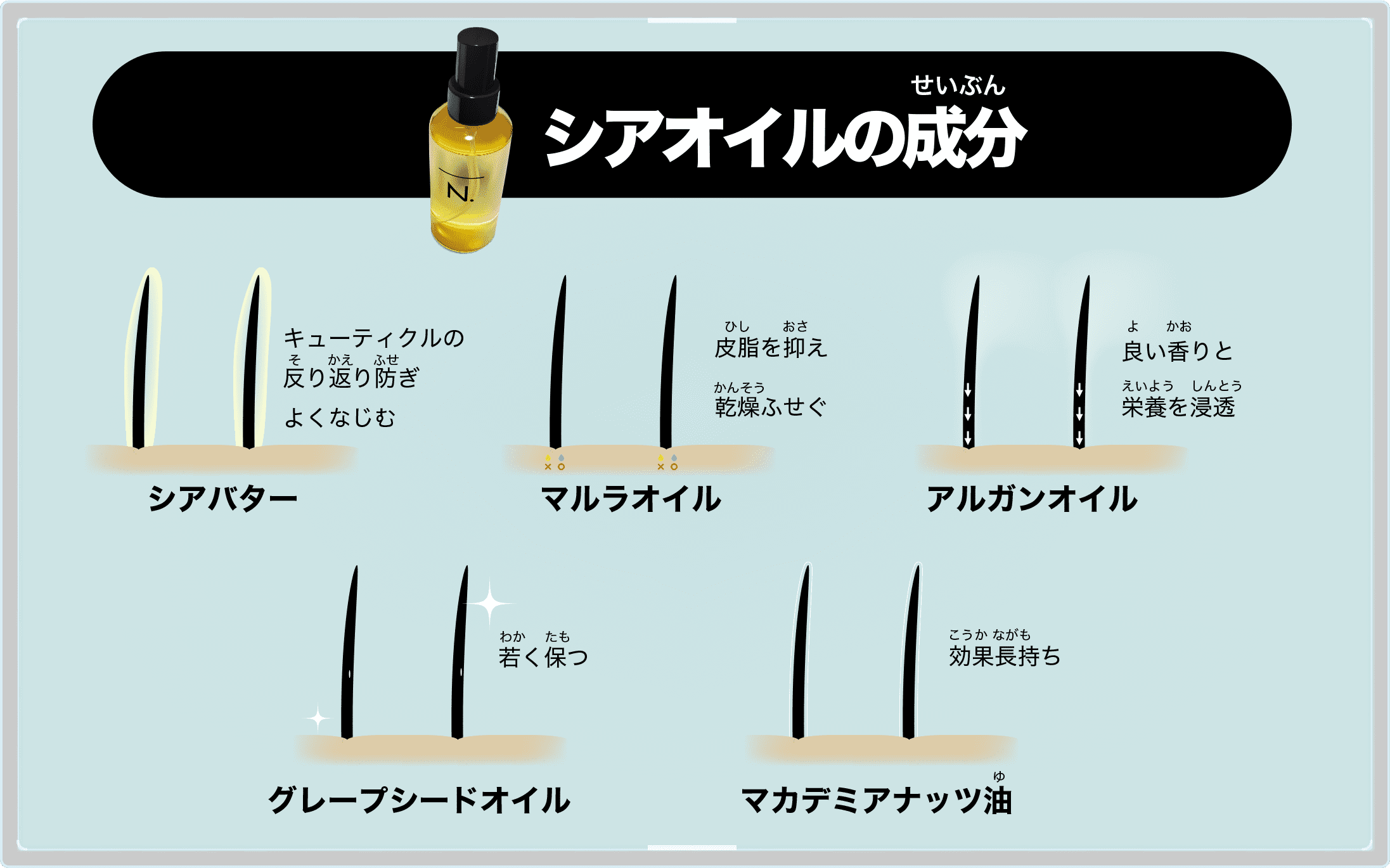 シアオイルの成分