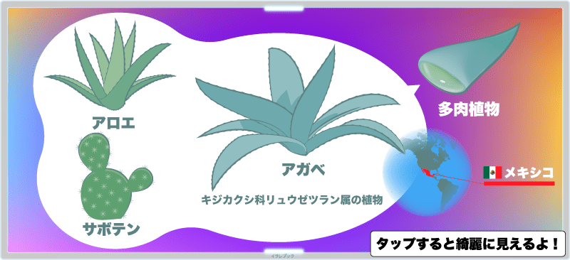 アガベはメキシコで栽培されているサボテンやアロエと同じ多肉植物