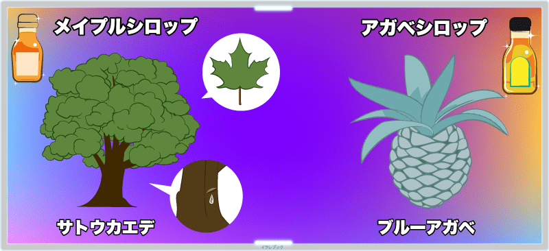 メープルシロップはサトウカエデという植物の樹液、アガベシロップはブルーアガベという植物の茎の液