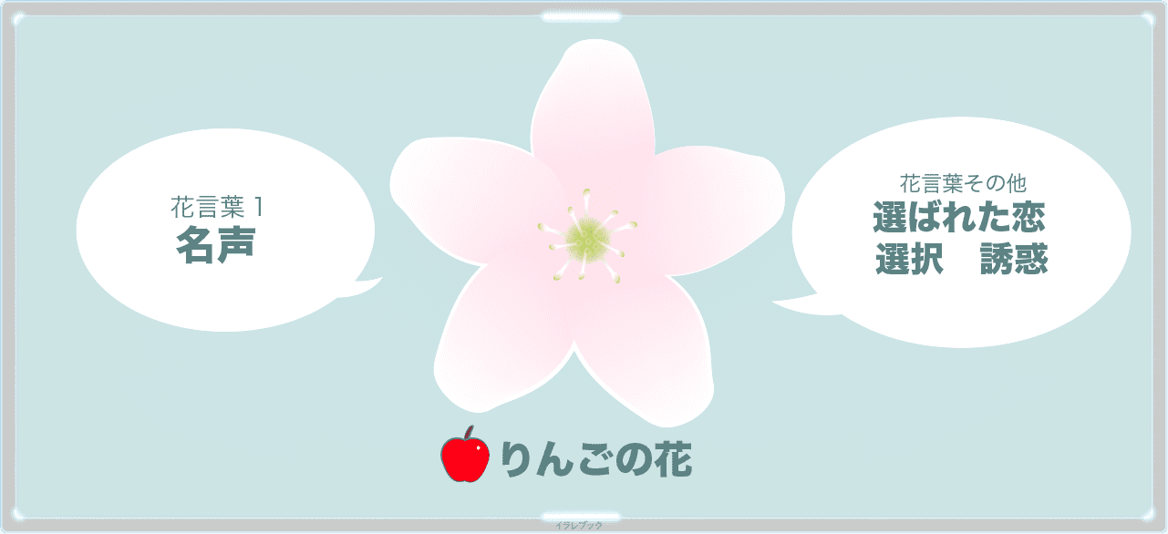 りんごの花