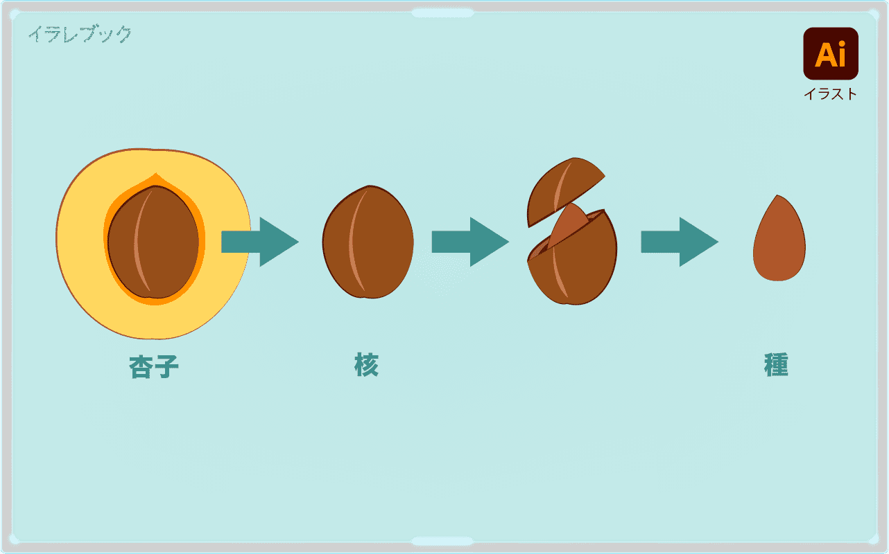 杏仁とは