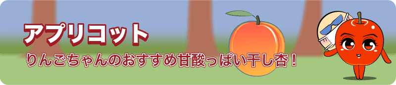 アプリコットイラスト apricot