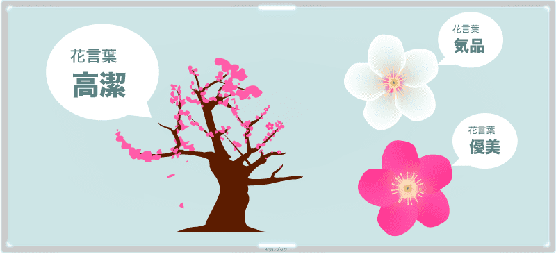 梅の花言葉は高潔