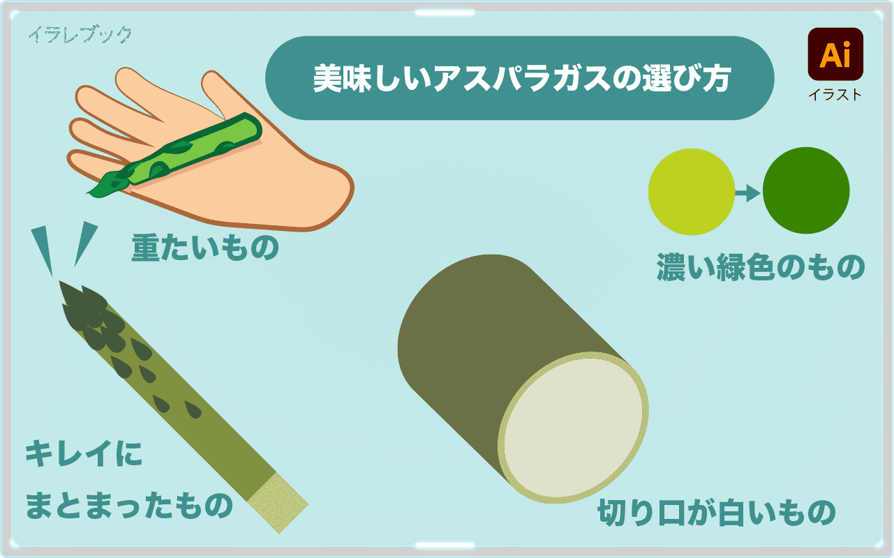 美味しいアスパラガスの選び方