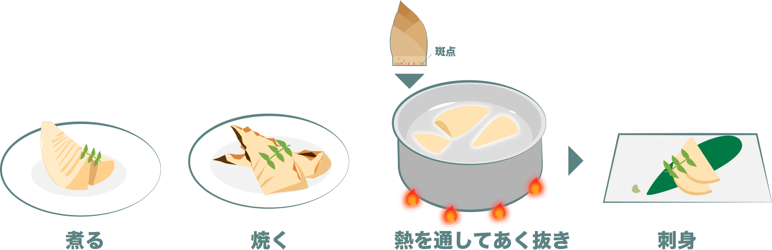 筍は、煮ても焼いても美味しい。斑点があれば熱を通してアク抜きしよう。刺身も