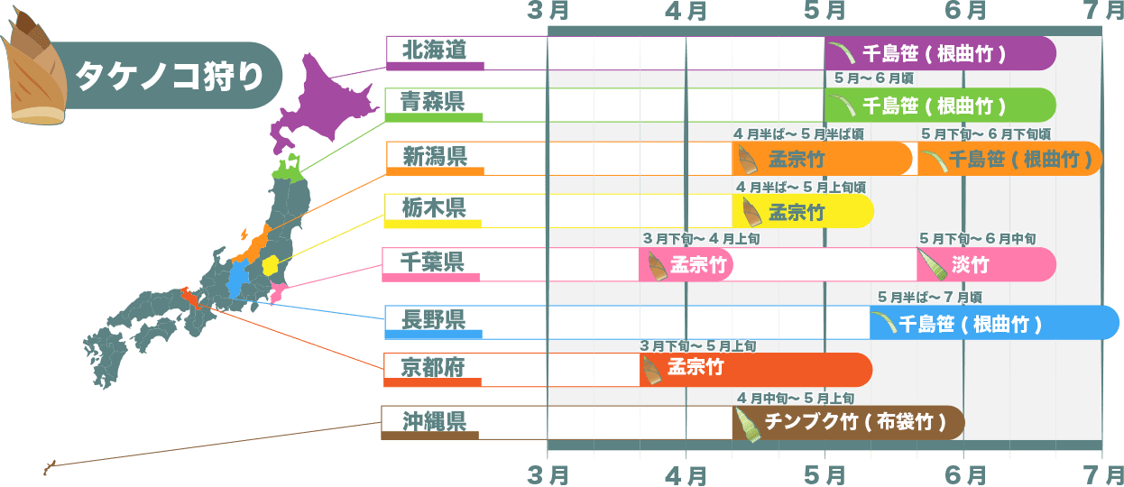 筍狩りができる所一覧 北海道:島笹(根曲竹) 青森県:千島笹 新潟県:孟宗竹 栃木県:孟宗竹 千葉県:淡竹 長野県:千島笹 京都府:孟宗竹 沖縄県:チンブク竹(布袋竹)