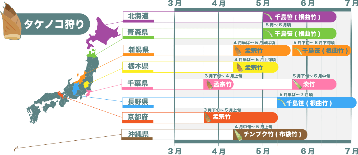 筍狩りができる所一覧 北海道:島笹(根曲竹) 青森県：千島笹 新潟県：孟宗竹 栃木県：孟宗竹 千葉県：淡竹 長野県:千島笹 京都府：孟宗竹 沖縄県：チンブク竹(布袋竹)