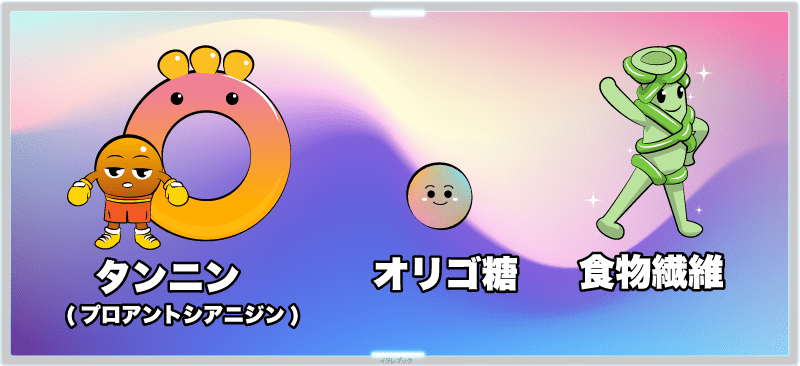 タンニン(=プロアントシアニジン)オリゴ糖と食物繊維