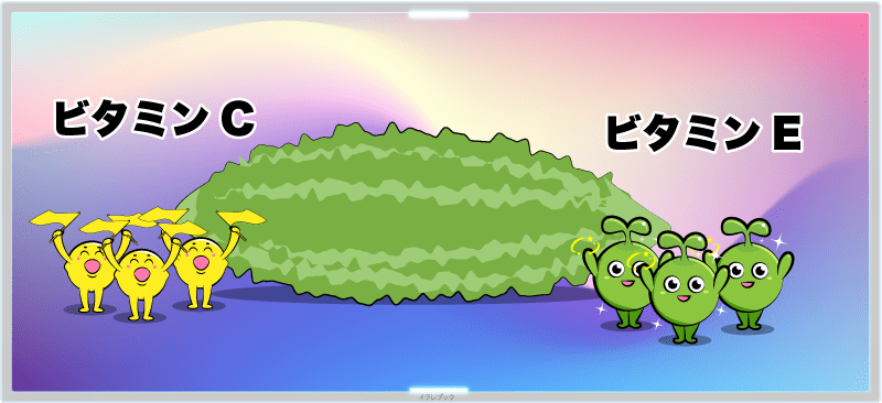 ゴーヤは、ビタミンCとビタミンEが豊富