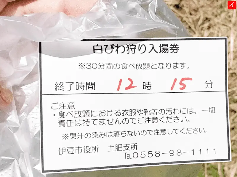 白びわ狩り用の種と皮入れ用のビニール袋