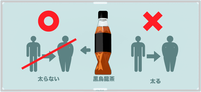 黒烏龍茶は太る?