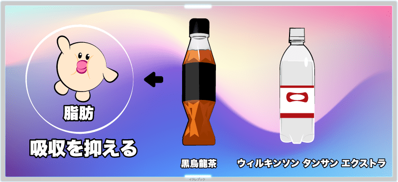 脂肪の吸収を抑えてくれる飲み物たち