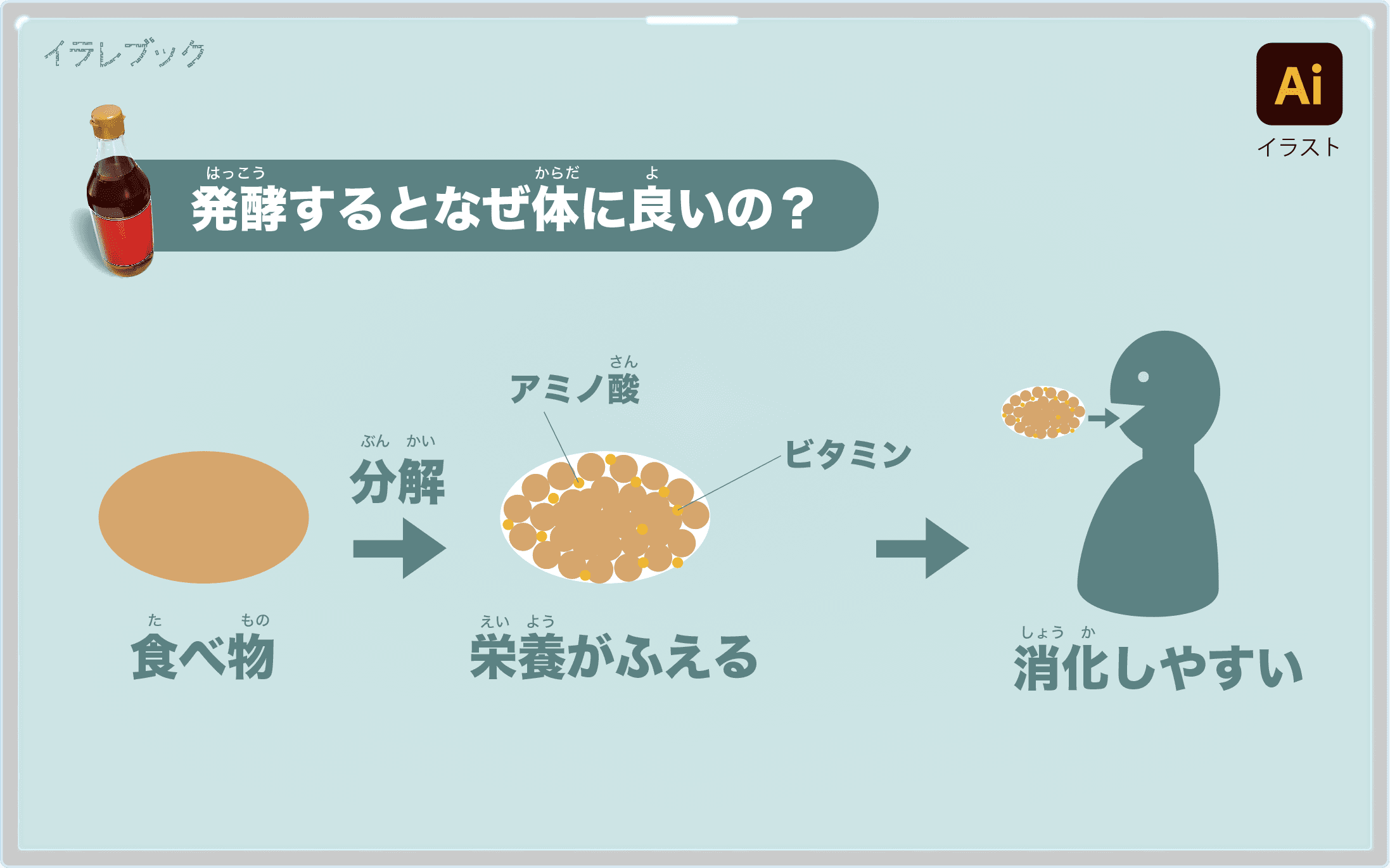 発酵すると食べ物が分解されて栄養が増え、消化も良くなる