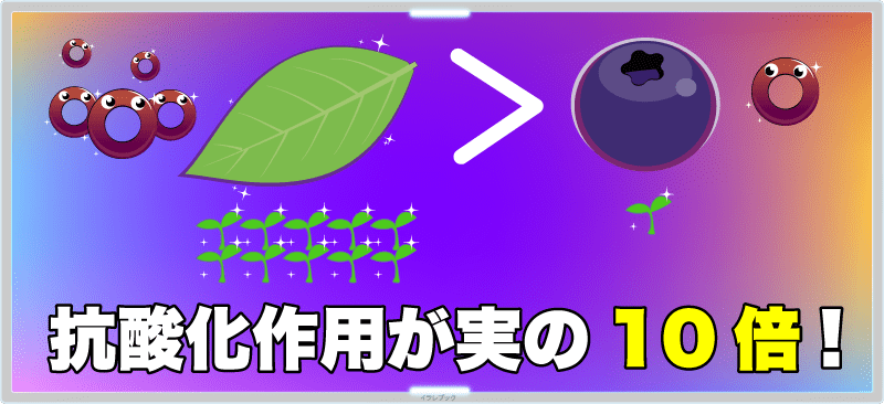 ブルーベリーの葉は実の10倍も抗酸化作用あり