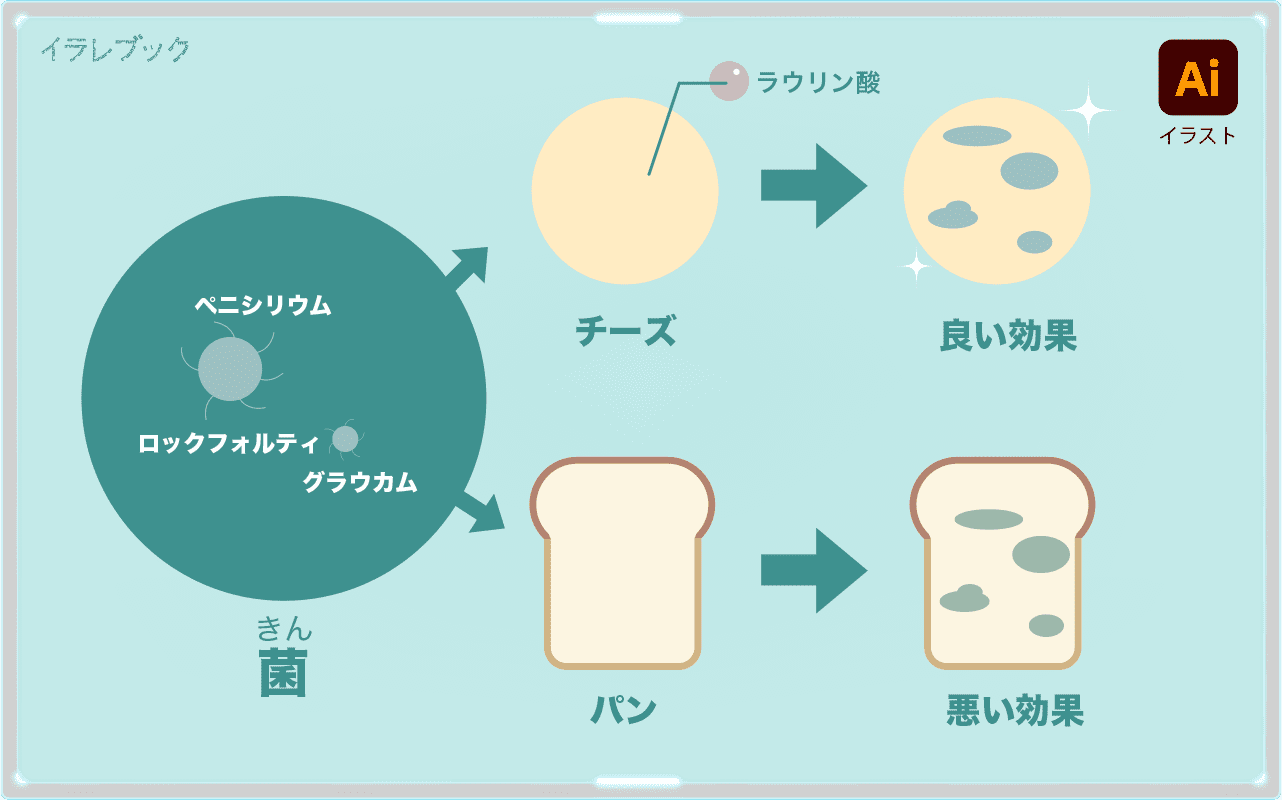 ペニシリウム・ロックフォルティとグラウカム