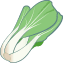 白梗菜