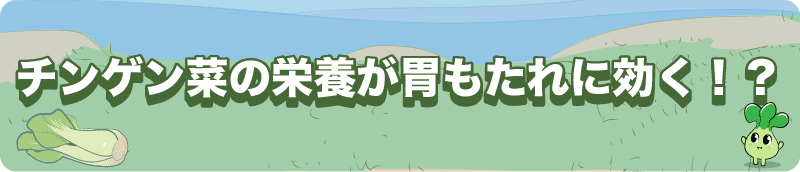 【チンゲン菜の栄養が胃もたれに効く！？】ほうれん草にもない特別な栄養とは。