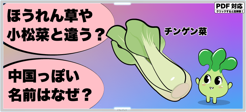 【【チンゲン菜の栄養が胃もたれに効く！？】ほうれん草にもない特別な栄養とは