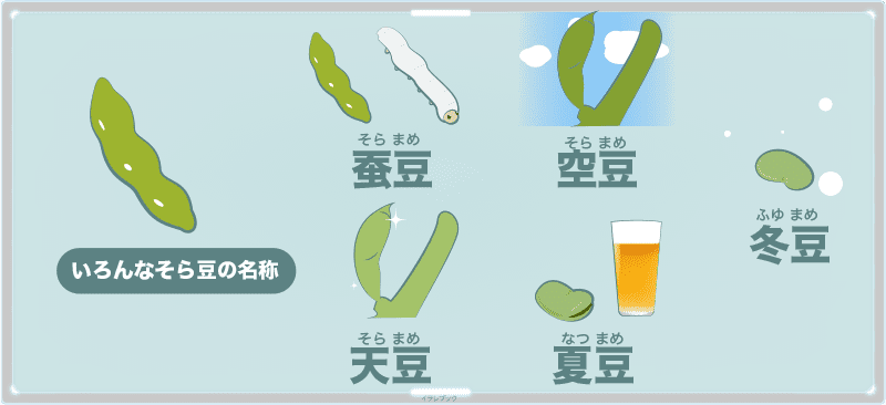 そら豆の呼び方