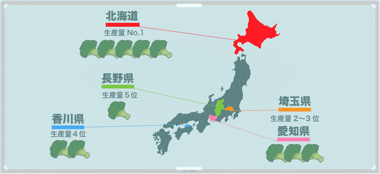 ブロッコリーの生産地