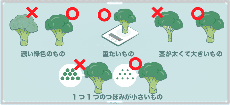 ブロッコリーの選び方