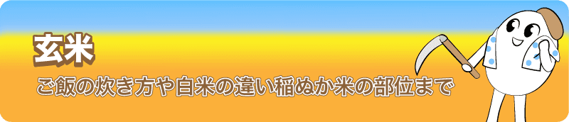 玄米 炊き方やご飯の栄養とカロリー!白米の違い稲ぬか米の部位まで