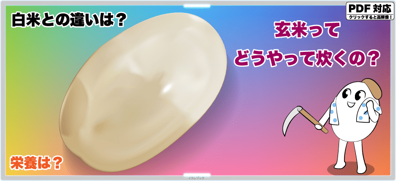 玄米ってどうやって炊くの?栄養は?白米との違いは?
